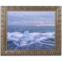 Marcă comercială Fine Art 'Diamond In the Surf' Canvas Art de Michael Blanchette fotografie, cadru ornamentat din aur