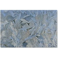 Marcă comercială Fine Art Frost Pattern 6 Canvas Art de Kurt Shaffer