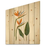 Designart' flori antice Strelitzia ' imprimeu tradițional pe lemn Natural de pin