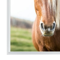 Stratton Home Decor Wild Horse Încadrată Panza De Perete Arta