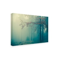 Marcă comercială Fine Art 'Woods' Canvas Art de PhotoINC Studio