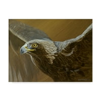 Marcă comercială Fine Art 'Golden Eagle' Canvas Art de Ron Parker