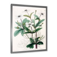 Designart 'Ancient Plant Life XXI' imprimare tradițională de artă încadrată