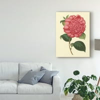 Marcă comercială Fine Art 'Camellia Garden I' Canvas Art de Verschaffelt