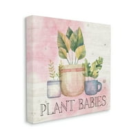 Stupell Plant Bebeluși Crengute În Ghiveci Grădină Botanică Și Florală Galerie De Pictură Învelită Pânză Imprimată Artă De Perete