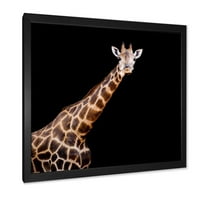 Designart 'Portretul unei girafe pe fundal negru III' imprimare de artă încadrată la fermă