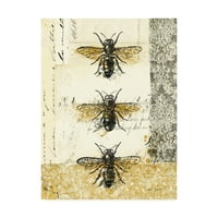 Marcă comercială Fine Art 'Golden Bees n Butterflies No 1' Canvas Art de Katie Pertiet