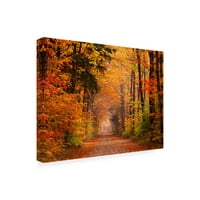 Marcă comercială Fine Art 'Autumn Leaf Road' Canvas Art de David Hammond