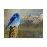 Marcă comercială Fine Art 'Mountain blue Birds' Canvas Art de Chris Vest
